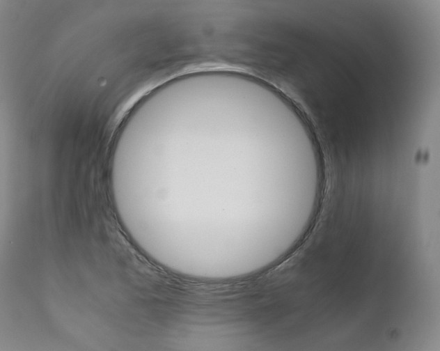 X0000111391173200907100954
