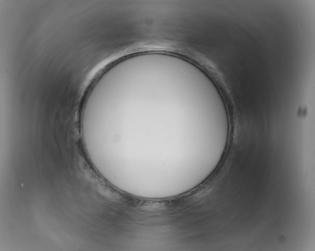 X0000111391174200907100954
