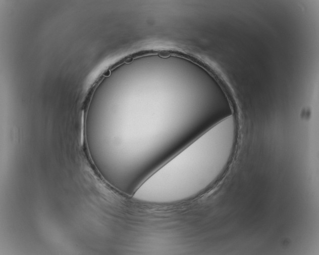 X0000111391175200907100954