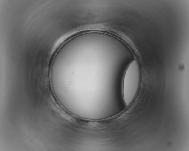 X0000111391176200907100954