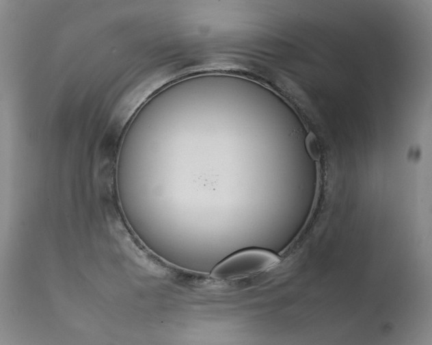 X0000111391177200907100954