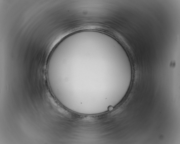 X0000111391178200907100954
