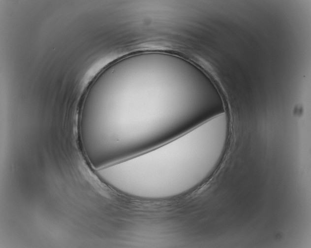 X0000111391179200907100954
