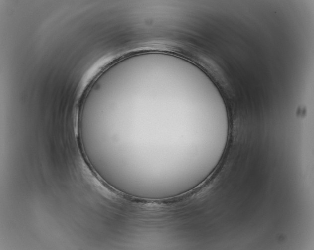 X0000111391180200907100954