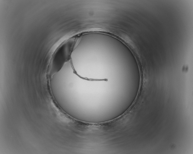 X0000111391181200907100954