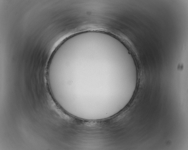 X0000111391182200907100954