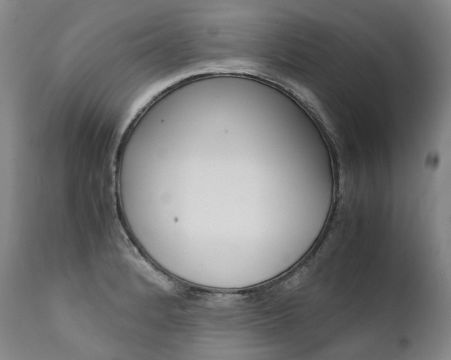 X0000111391184200907100954