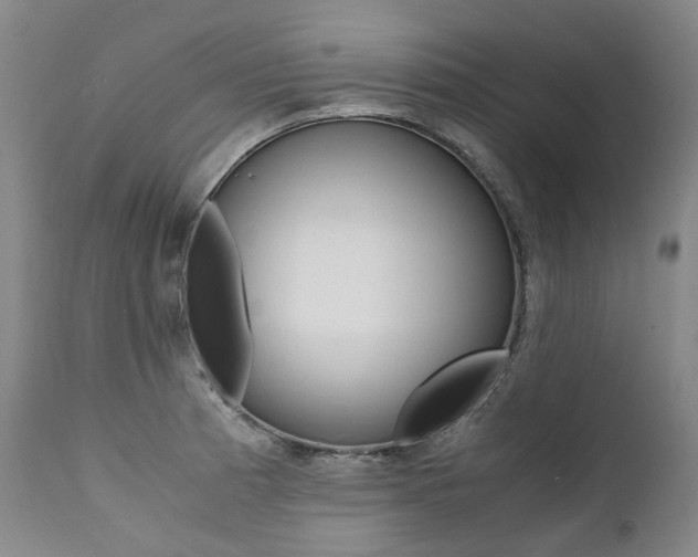 X0000111391185200907100954