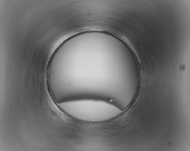 X0000111391187200907100954