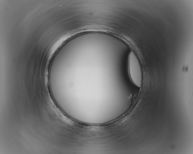 X0000111391188200907100954