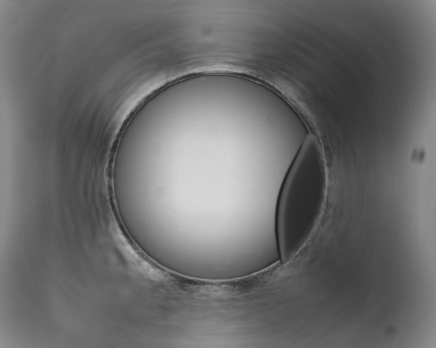 X0000111391189200907100953