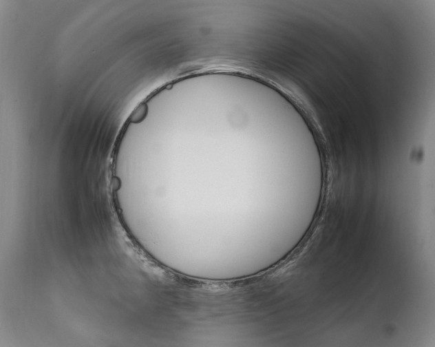 X0000111391190200907100953