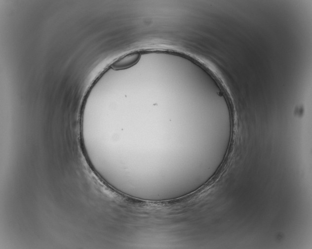 X0000111391191200907100953