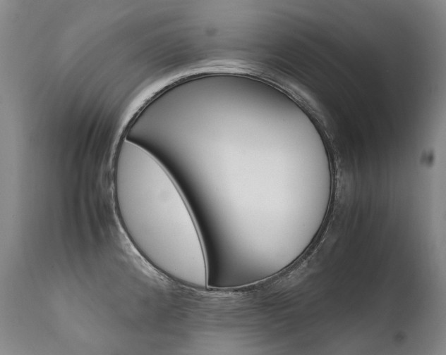 X0000111391192200907100953