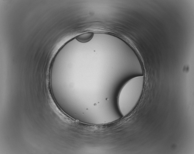 X0000111391195200907100953