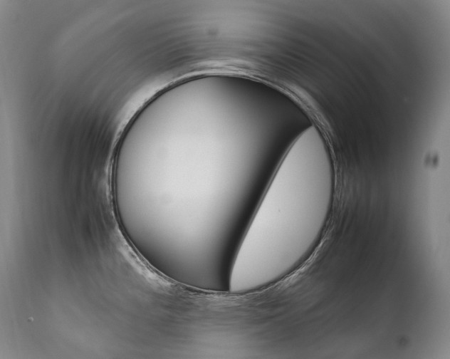 X0000111391196200907100953