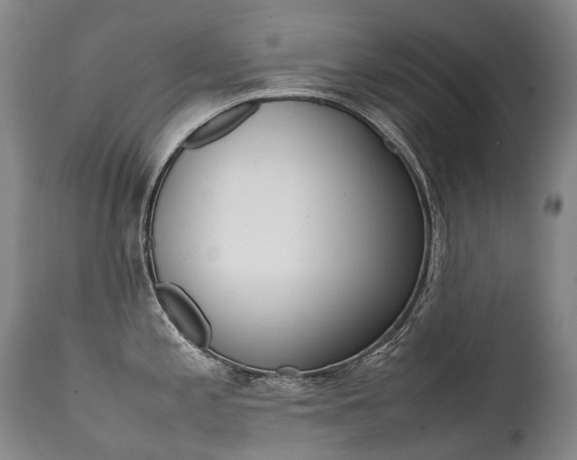 X0000111391197200907100953