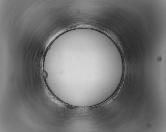 X0000111391198200907100953