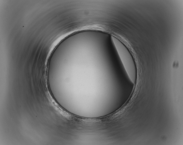 X0000111391200200907100953