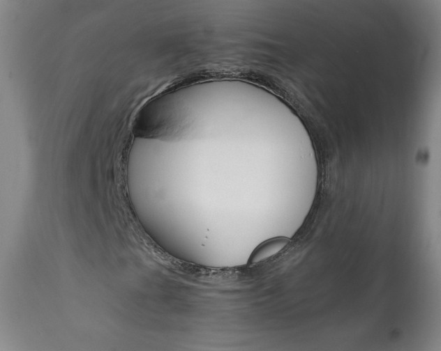 X0000111391201200907100953