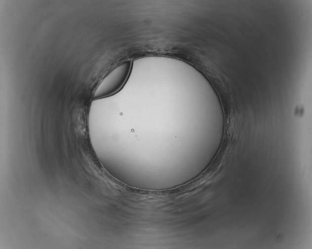 X0000111391202200907100953