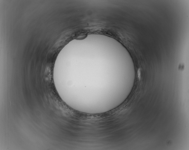 X0000111391203200907100953