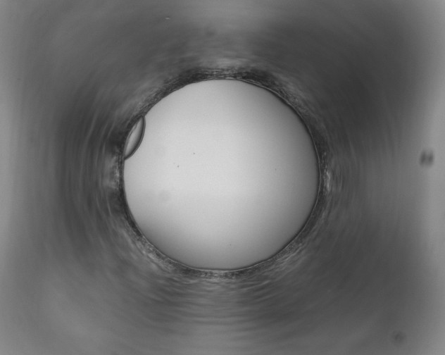 X0000111391204200907100953