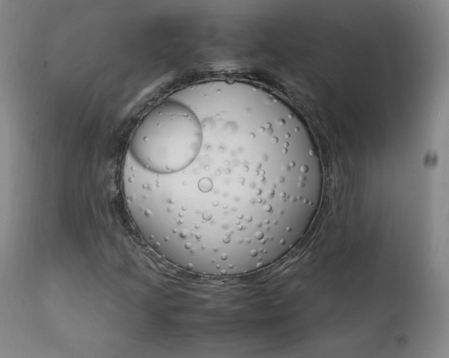X0000111391205200907100953