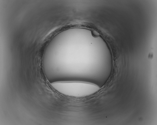 X0000111391206200907100953