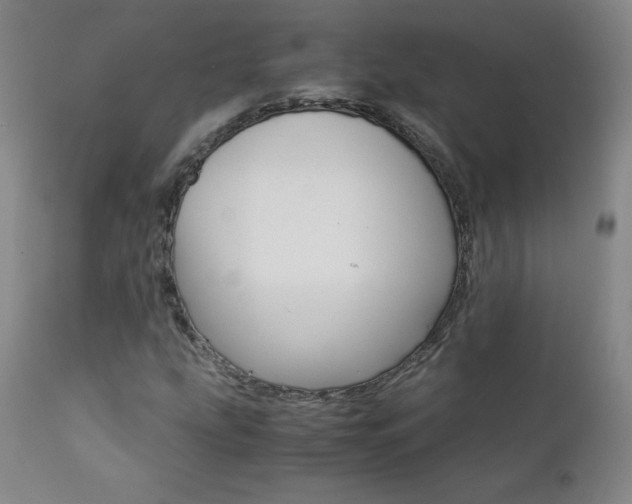 X0000111391207200907100953