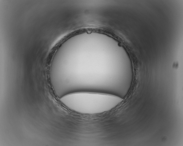X0000111391208200907100953