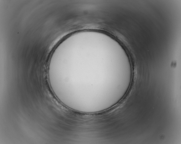 X0000111391212200907100953