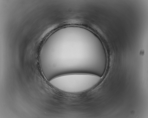 X0000111391213200907100953