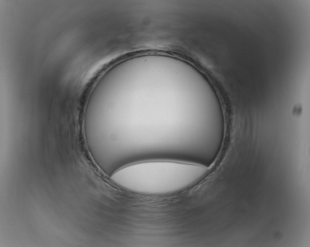 X0000111391214200907100953