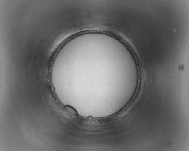 X0000111391215200907100953