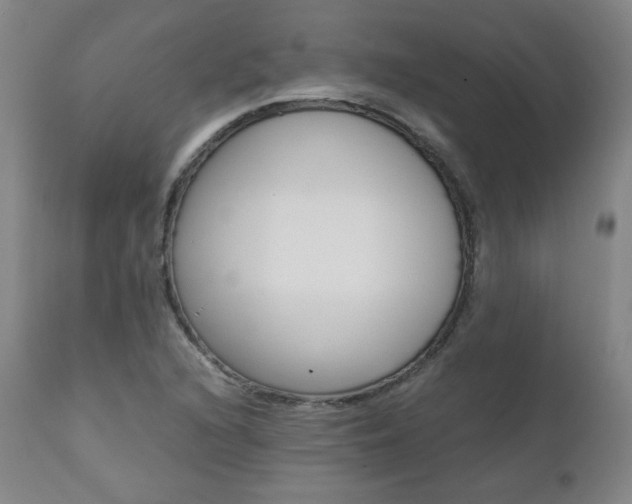 X0000111391216200907100953