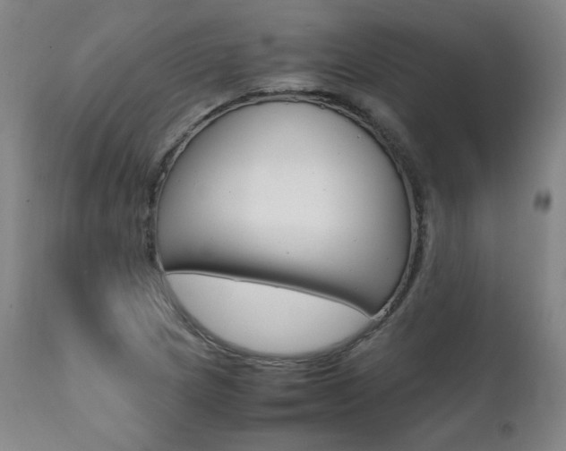 X0000111391217200907100953