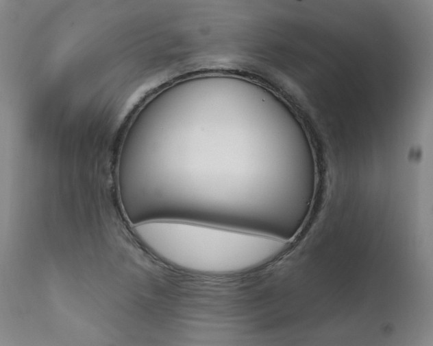 X0000111391218200907100953