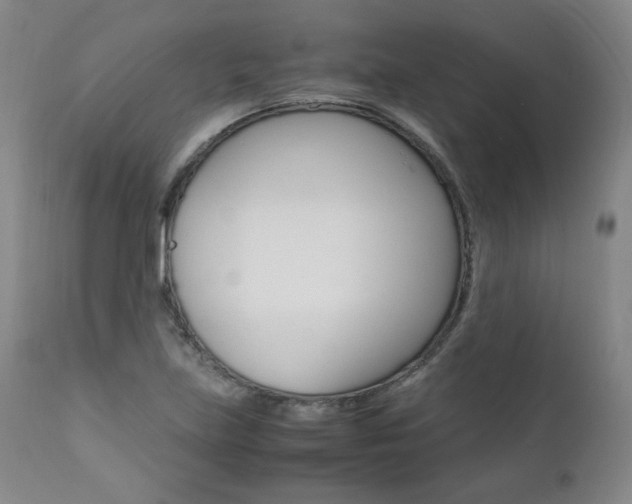 X0000111391219200907100953