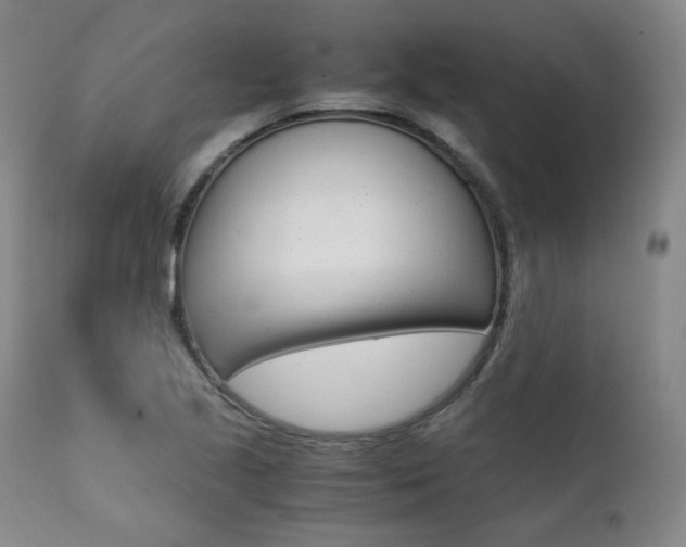 X0000111391221200907100953