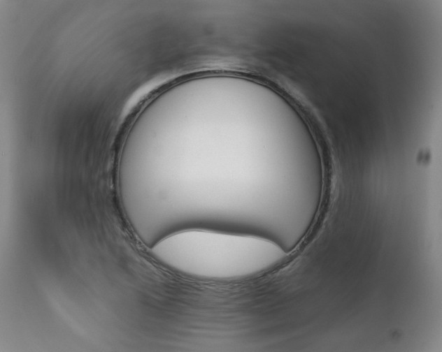 X0000111391222200907100953