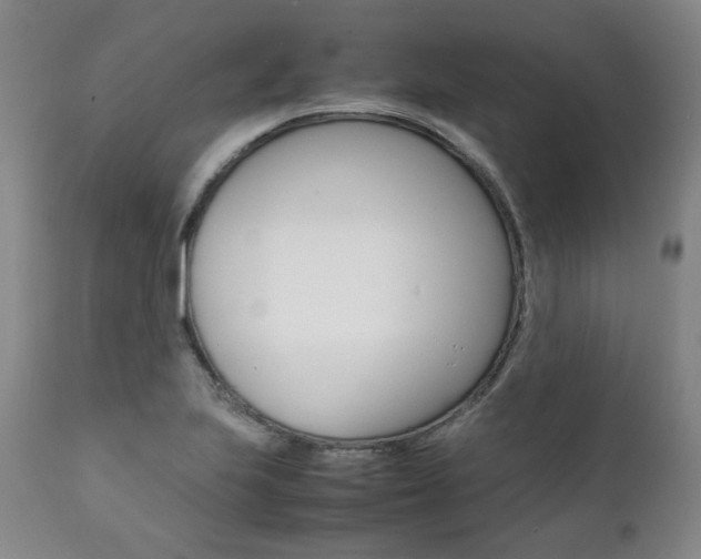 X0000111391223200907100953