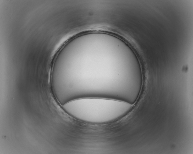 X0000111391224200907100953