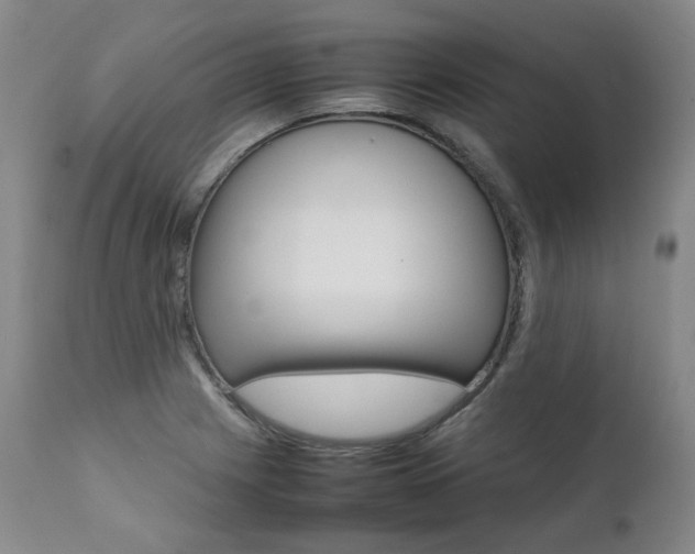 X0000111391225200907100953