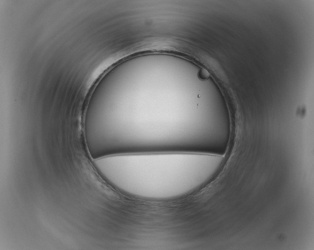 X0000111391226200907100953