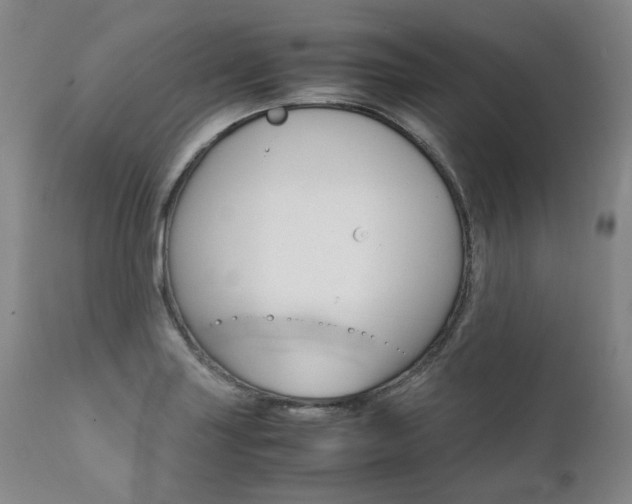 X0000111391227200907100953