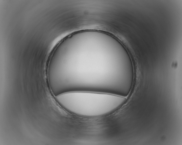 X0000111391230200907100953