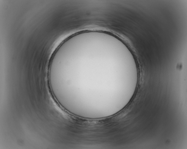 X0000111391231200907100953