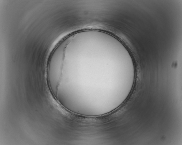 X0000111391232200907100953