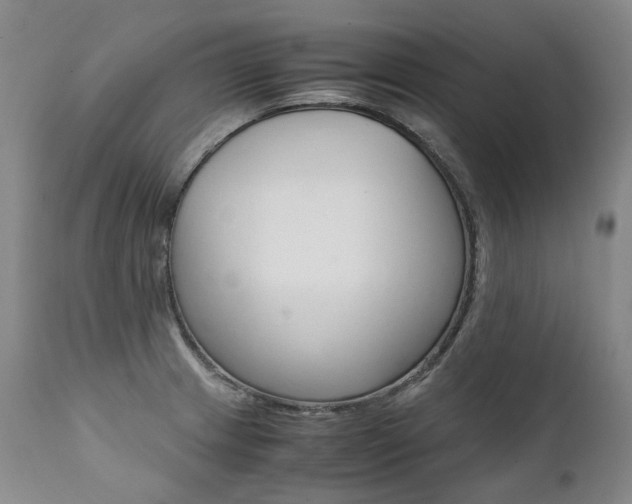X0000111391233200907100953